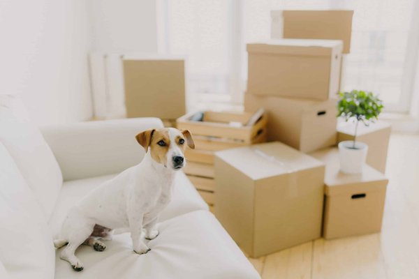 What Are the Best Breathable Undergarment Brands for a Long Day at the Office?