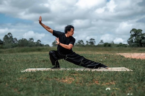 Can Regular Practice of Tai Chi Improve Balance and Prevent Falls in Parkinson's Disease Patients?